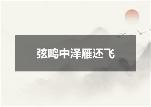 弦鸣中泽雁还飞