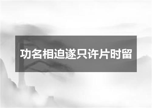 功名相迫遂只许片时留