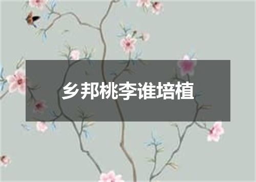 乡邦桃李谁培植