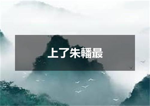 上了朱轓最