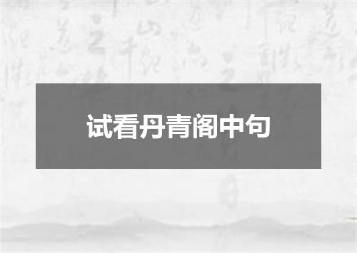 试看丹青阁中句