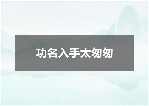功名入手太匆匆