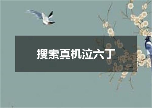 搜索真机泣六丁