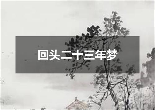 回头二十三年梦