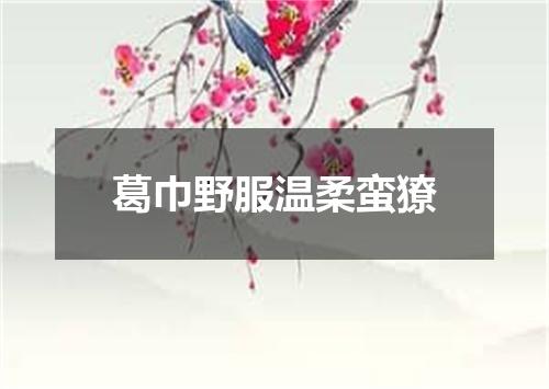 葛巾野服温柔蛮獠