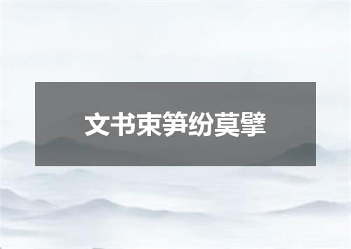 文书束笋纷莫擘