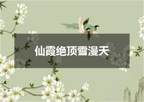 仙霞绝顶雪漫天