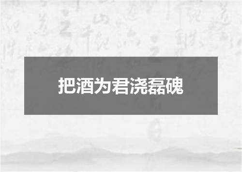 把酒为君浇磊磈