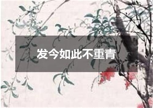 发今如此不重青