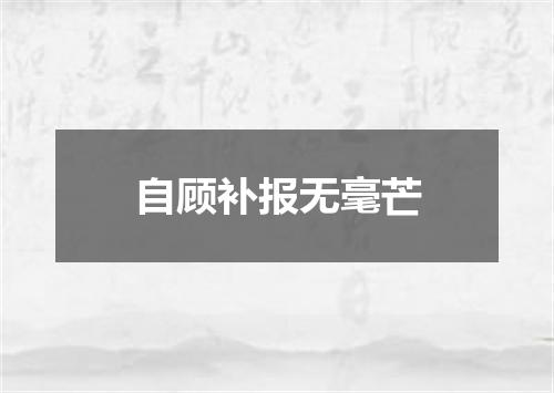 自顾补报无毫芒