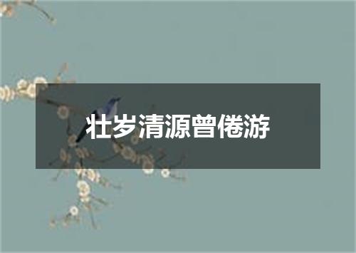 壮岁清源曾倦游