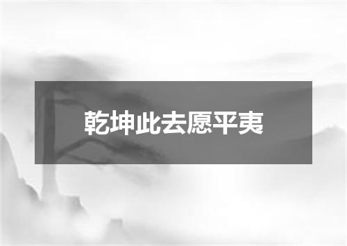 乾坤此去愿平夷