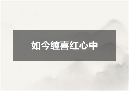 如今缠喜红心中
