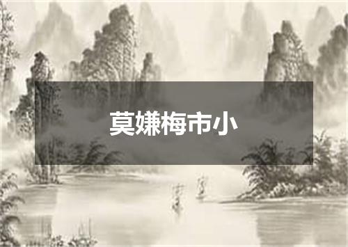 莫嫌梅市小