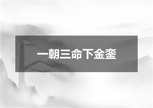 一朝三命下金銮