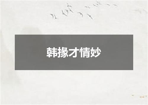 韩掾才情妙