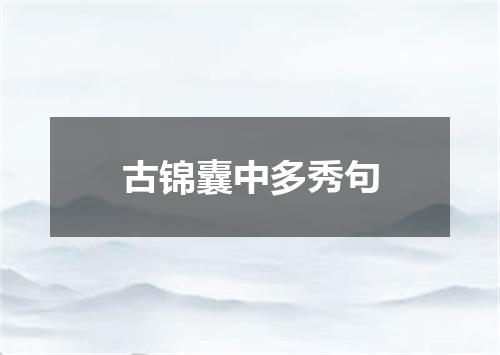 古锦囊中多秀句