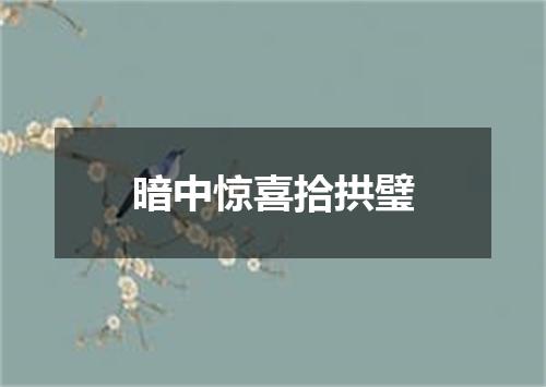 暗中惊喜拾拱璧