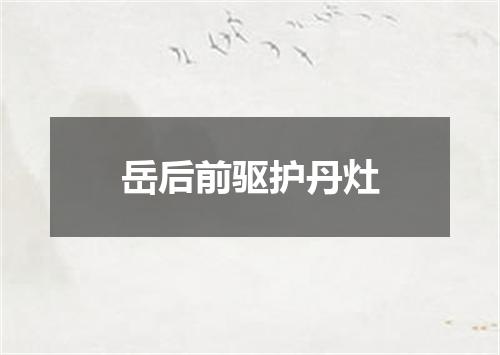 岳后前驱护丹灶