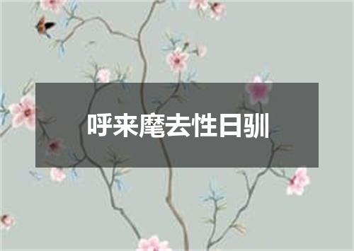 呼来麾去性日驯
