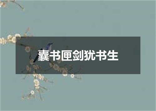 囊书匣剑犹书生