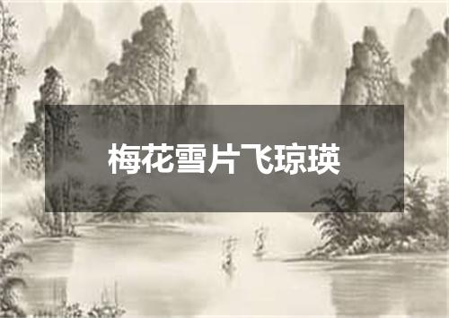 梅花雪片飞琼瑛
