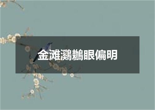 金滩鸂鶒眼偏明