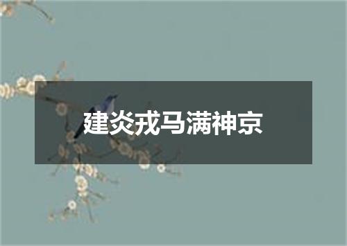 建炎戎马满神京