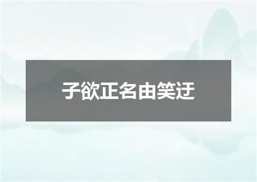 子欲正名由笑迂