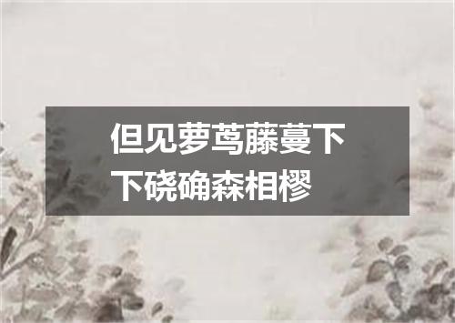 但见萝茑藤蔓下下硗确森相樛
