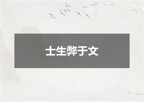 士生弊于文