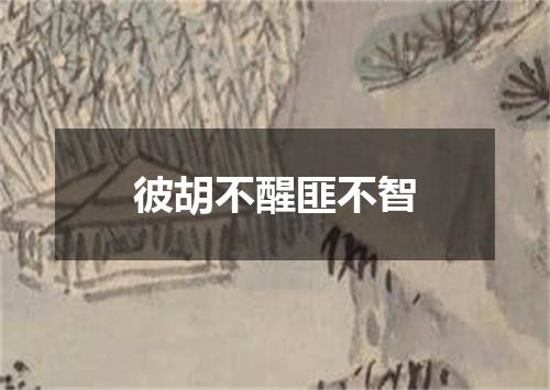 彼胡不醒匪不智