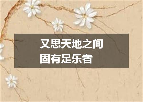 又思天地之间固有足乐者