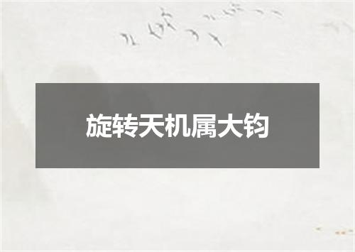 旋转天机属大钧