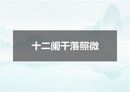 十二阑干落照微
