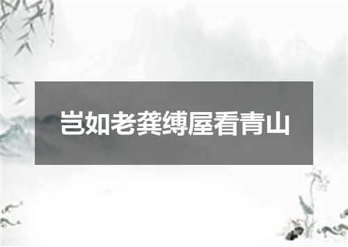 岂如老龚缚屋看青山