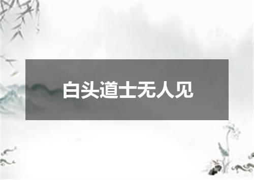 白头道士无人见