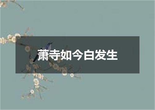 萧寺如今白发生