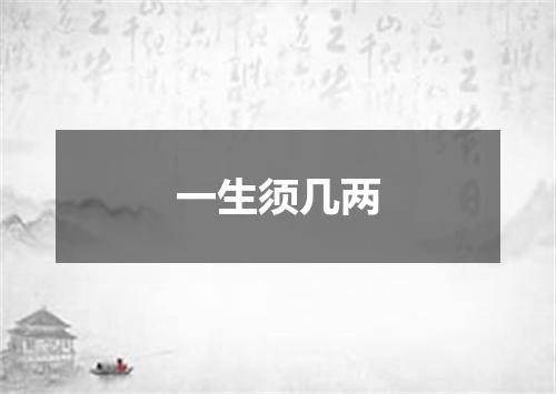 一生须几两