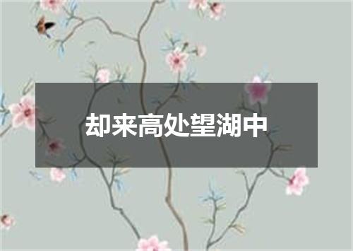 却来高处望湖中