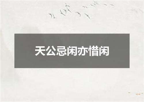 天公忌闲亦惜闲
