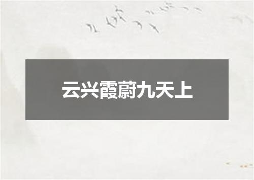 云兴霞蔚九天上