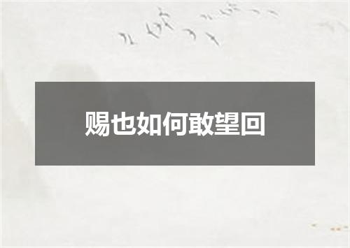 赐也如何敢望回