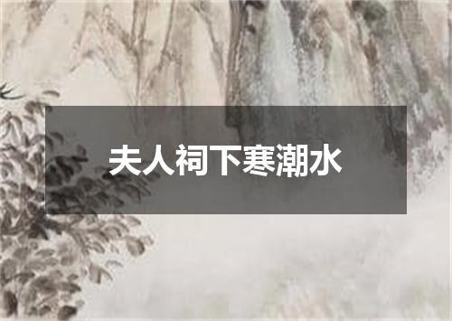 夫人祠下寒潮水