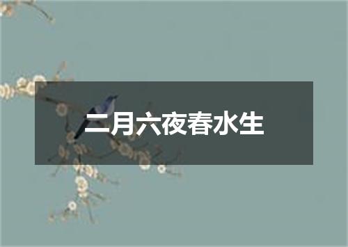 二月六夜春水生