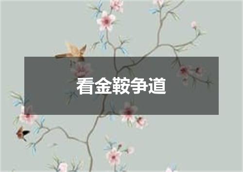 看金鞍争道
