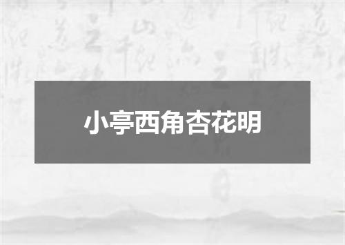 小亭西角杏花明