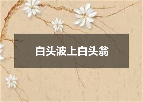 白头波上白头翁