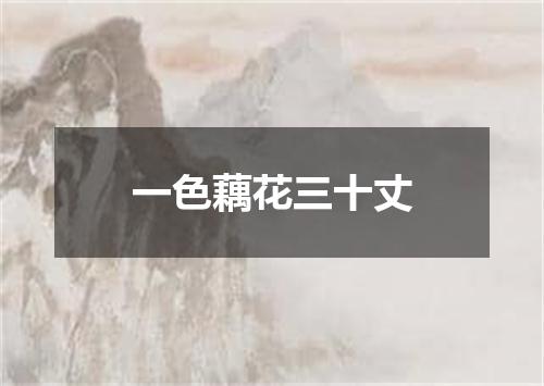 一色藕花三十丈