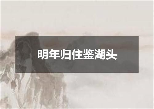 明年归住鉴湖头